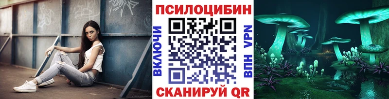 где купить наркоту  Первомайск  Псилоцибиновые грибы мухоморы 